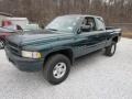 1996 Spruce Green Pearl Dodge Ram 1500 ST Extended Cab 4x4  photo #10
