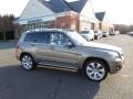 2010 Sand Beige Metallic Mercedes-Benz GLK 350 4Matic  photo #3