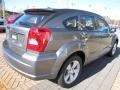 Tungsten Metallic - Caliber SXT Photo No. 3