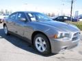 Tungsten Metallic - Charger SE Photo No. 4