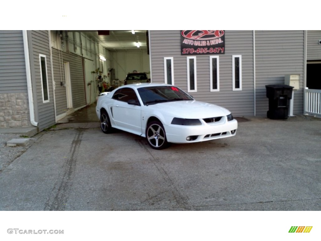 2001 Mustang Cobra Coupe - Oxford White / Dark Charcoal photo #1