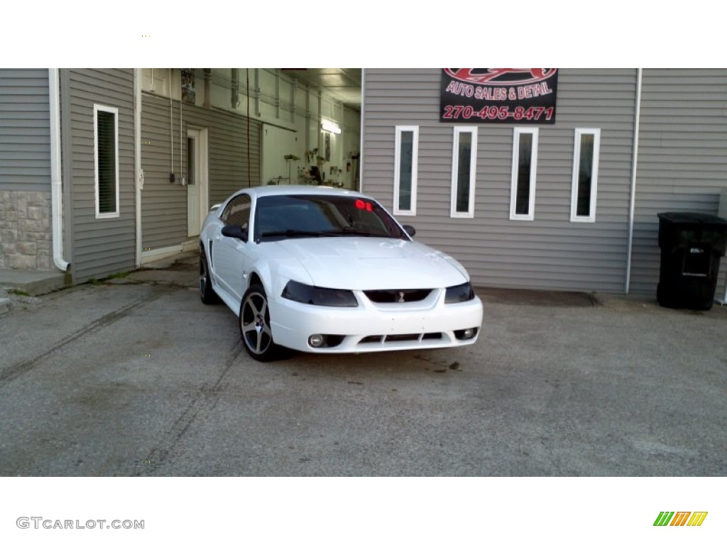 2001 Mustang Cobra Coupe - Oxford White / Dark Charcoal photo #2