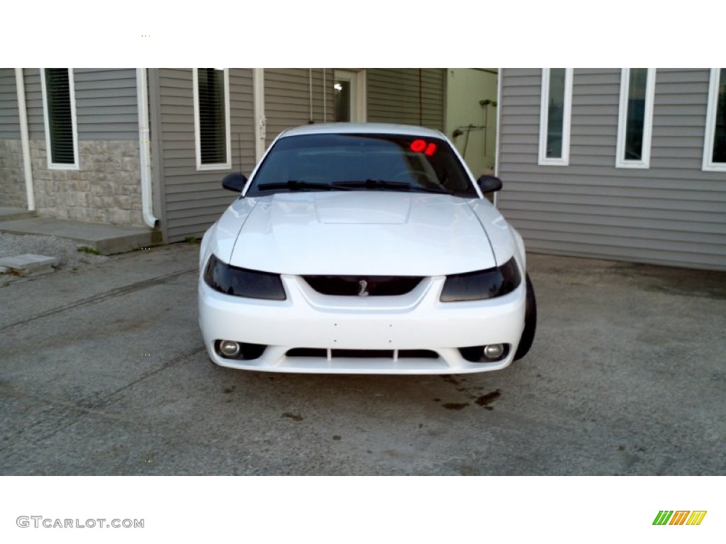 2001 Mustang Cobra Coupe - Oxford White / Dark Charcoal photo #3