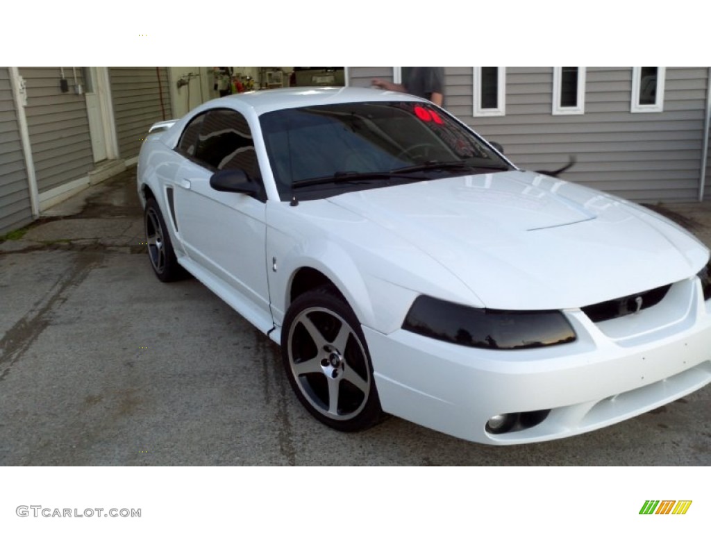 2001 Mustang Cobra Coupe - Oxford White / Dark Charcoal photo #8