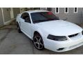 2001 Oxford White Ford Mustang Cobra Coupe  photo #8