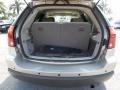 Linen Gold Metallic Pearl - Pacifica Touring Photo No. 8