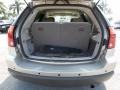 2005 Linen Gold Metallic Pearl Chrysler Pacifica Touring  photo #8