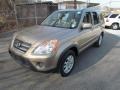 2005 Sahara Sand Metallic Honda CR-V Special Edition 4WD  photo #10