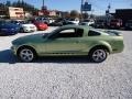 2005 Legend Lime Metallic Ford Mustang V6 Deluxe Coupe  photo #11