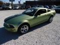 2005 Legend Lime Metallic Ford Mustang V6 Deluxe Coupe  photo #12