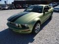 2005 Legend Lime Metallic Ford Mustang V6 Deluxe Coupe  photo #13