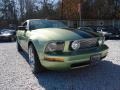 2005 Legend Lime Metallic Ford Mustang V6 Deluxe Coupe  photo #15