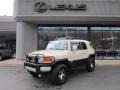 Sandstorm Metallic - FJ Cruiser 4WD Photo No. 1
