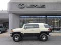 2008 Toyota FJ Cruiser Trail Teams Special Edition 4WD Wheel and Tire Photo