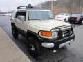 Sandstorm Metallic - FJ Cruiser 4WD Photo No. 6