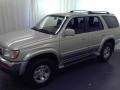 Cool Steel Metallic - 4Runner Limited 4x4 Photo No. 18