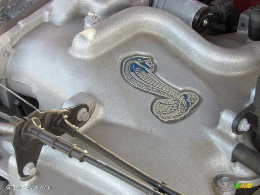 2001 Ford Mustang Cobra Coupe 4.6 Liter SVT DOHC 32-Valve V8 Engine Photo #57648616