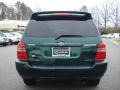 2003 Electric Green Mica Toyota Highlander Limited  photo #5