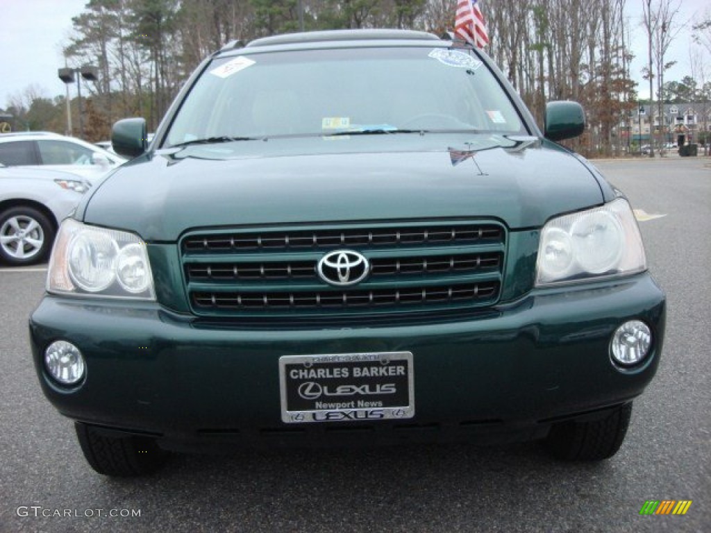 2003 Highlander Limited - Electric Green Mica / Ivory photo #9