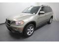 Platinum Bronze Metallic - X5 xDrive30i Photo No. 4