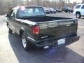 2003 Dark Green Metallic Chevrolet S10 LS Extended Cab  photo #6