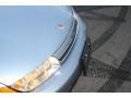 Silver Blue - L Series L300 Sedan Photo No. 20