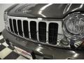 2005 Dark Khaki Pearl Jeep Liberty Limited  photo #5