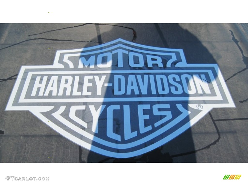 2008 Ford F150 Harley-Davidson SuperCrew 4x4 Marks and Logos Photo #57667649