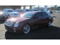 Infrared 2007 Cadillac STS V6