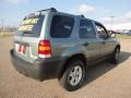 Titanium Green Metallic - Escape XLT V6 Photo No. 3