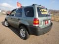 Titanium Green Metallic - Escape XLT V6 Photo No. 10