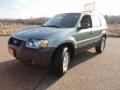 Titanium Green Metallic - Escape XLT V6 Photo No. 11