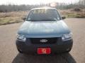 Titanium Green Metallic - Escape XLT V6 Photo No. 12