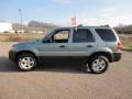 Titanium Green Metallic - Escape XLT V6 Photo No. 15