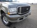 2003 Mineral Grey Metallic Ford Excursion Limited 4x4  photo #13