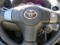 2010 Sandy Beach Metallic Toyota RAV4 I4  photo #18