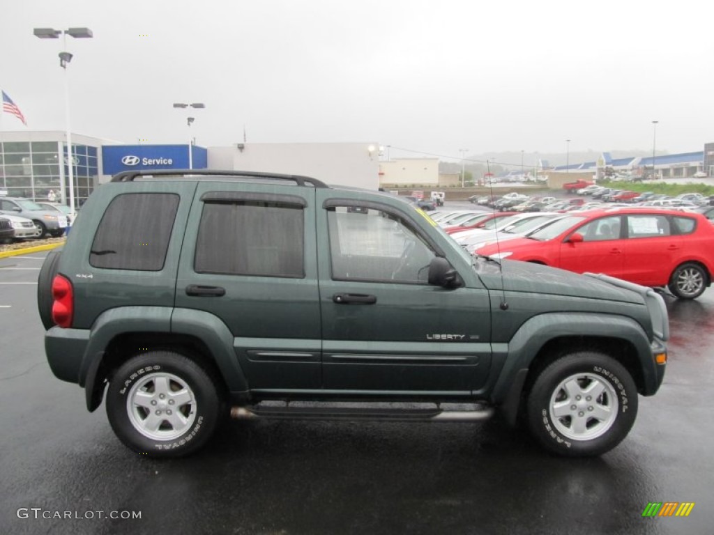 2002 Liberty Limited 4x4 - Shale Green Metallic / Dark Slate Gray photo #2