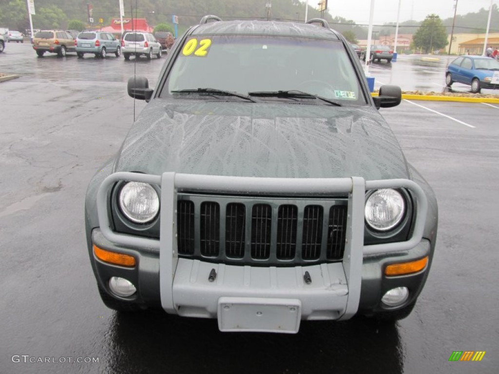 2002 Liberty Limited 4x4 - Shale Green Metallic / Dark Slate Gray photo #5
