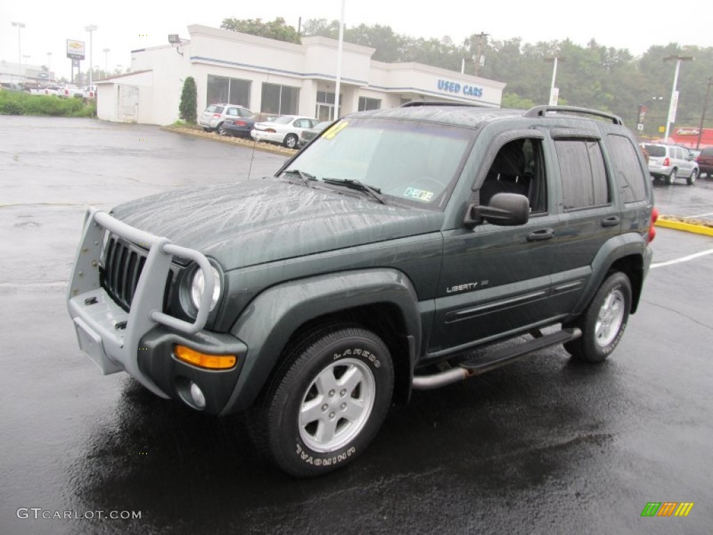 2002 Liberty Limited 4x4 - Shale Green Metallic / Dark Slate Gray photo #6