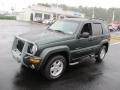 2002 Shale Green Metallic Jeep Liberty Limited 4x4  photo #6