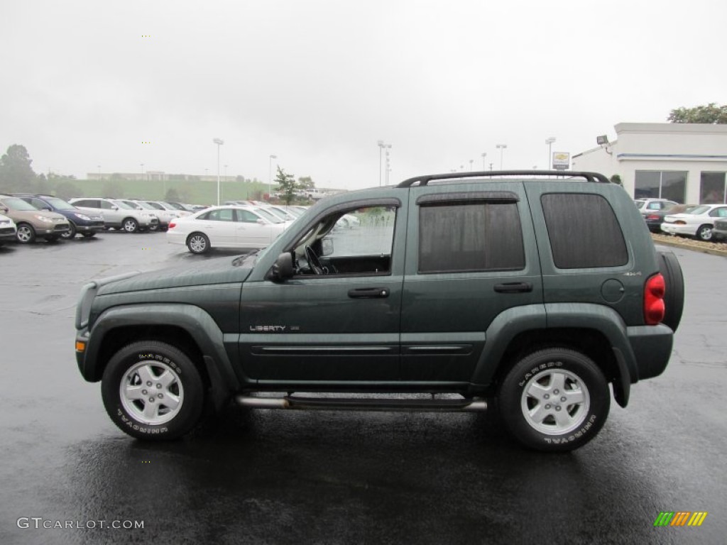 2002 Liberty Limited 4x4 - Shale Green Metallic / Dark Slate Gray photo #7