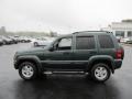 2002 Shale Green Metallic Jeep Liberty Limited 4x4  photo #7