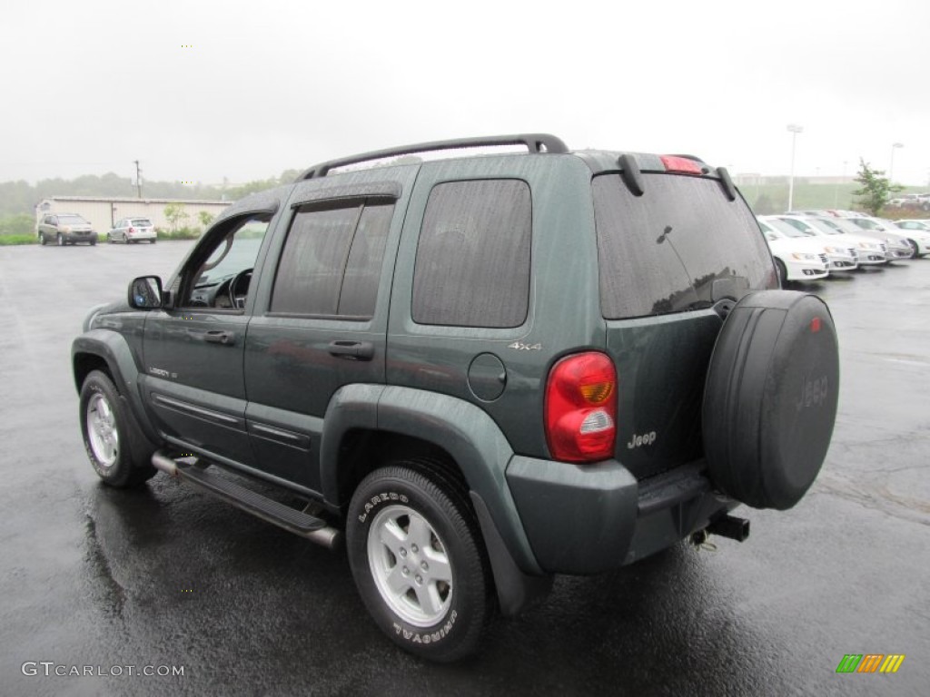 2002 Liberty Limited 4x4 - Shale Green Metallic / Dark Slate Gray photo #8