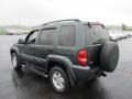 2002 Shale Green Metallic Jeep Liberty Limited 4x4  photo #8