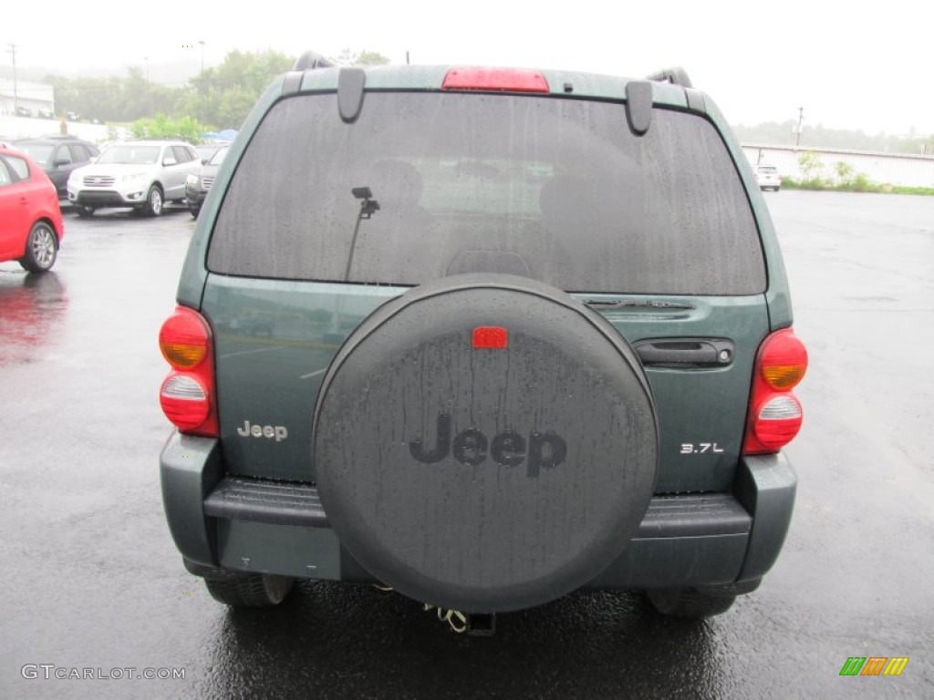 2002 Liberty Limited 4x4 - Shale Green Metallic / Dark Slate Gray photo #9