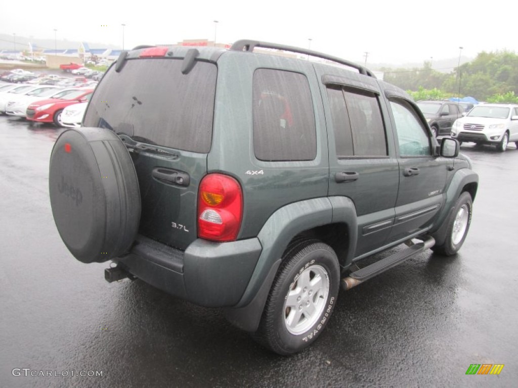 2002 Liberty Limited 4x4 - Shale Green Metallic / Dark Slate Gray photo #10