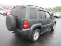 2002 Shale Green Metallic Jeep Liberty Limited 4x4  photo #10