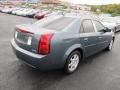 Stealth Gray - CTS Sedan Photo No. 11