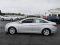 Radiant Silver - Sonata GLS Photo No. 6
