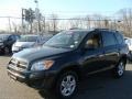 Black Forest Pearl - RAV4 4WD Photo No. 3